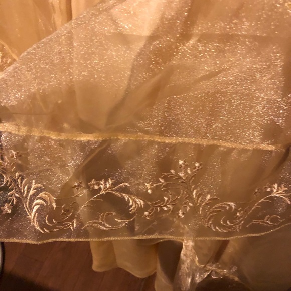 (SOLD) Torrid beauty and the beast dress size 18 - Picture 6 of 6